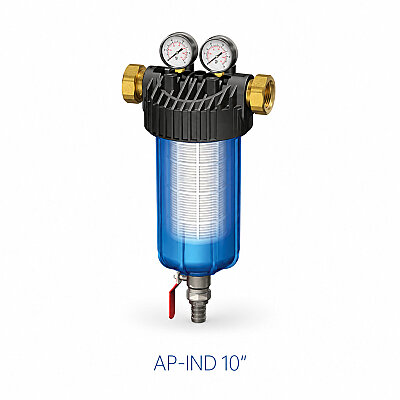 AP-IND 10