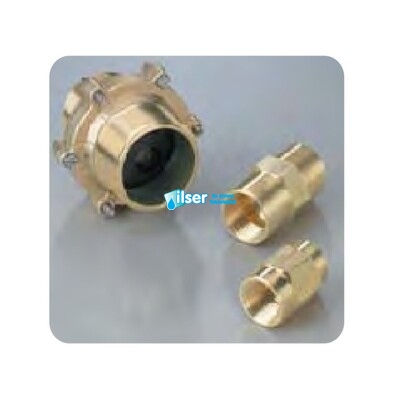 Fleck DLFC 2” BSP - 2” BSP Assy 80 GPM 3150/3900 - 1