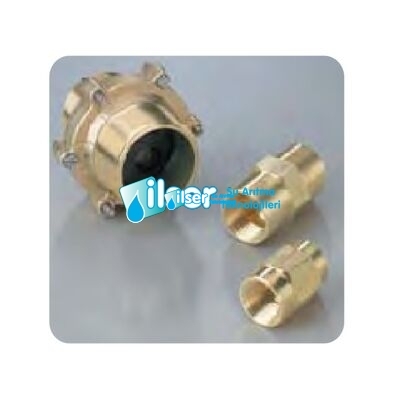 Fleck DLFC 2” BSP - 2” BSP Assy 80 GPM 3150/3900 - 1