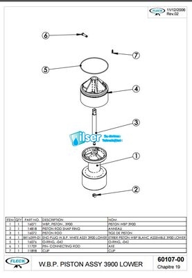 Fleck FL25712 3900 Alt Piston NBP FI60107-10 - 3