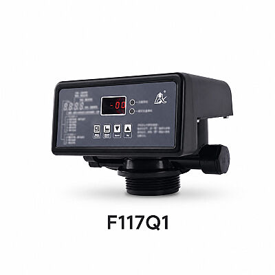 Runxin F117Q1 Tam Otomatik Yumuşatma Valfi 3/4
